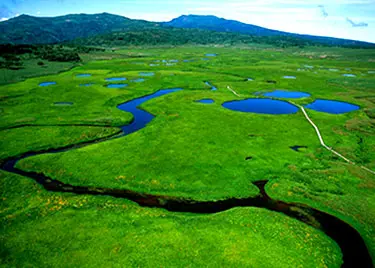 Uryunuma Wetland